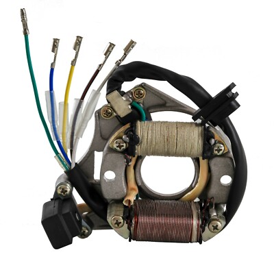 Magneto Stator 12 Coil Wires for 200 250cc Taotao Dirt Bike
