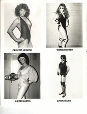 AWA ORIGINAL 8x10 SOUVENIR PHOTO (1987) WENDI RICHTER DAWN MARIE SHERRI MARTELL