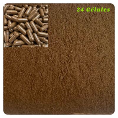 BIG 3 made of Kigelia Africana 100% Natural - Male Enlargement & Female Breast 
