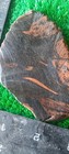 Rough Slab Mahogany Obsidian 95g. 5/16" Thick Lapidary Cabbing #C-4 — photo 7