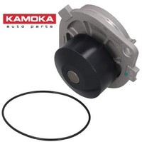 Kamoka T0111 Wasserpumpe Wapu