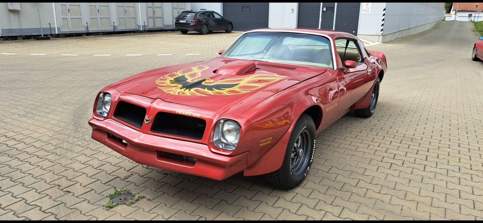 1976 Pontiac Firebird for sale in Naples Florida
