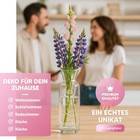 Bild 34 von 50