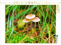 Calvendo Puzzle Helmlinge 1000 Teile Puzzle Quer | 1000 Teile Lege-GrößE 64X48Cm