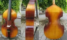 Spurce Maple wood SONG Master Treble 5 string 29" Viola da Gamba with Frets
