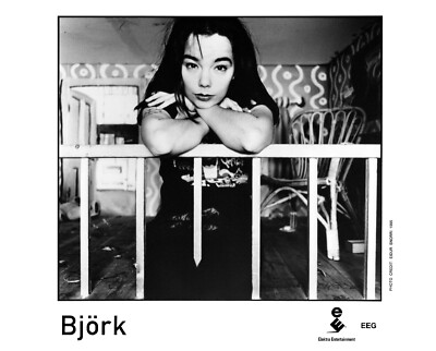Björk - Promo Photo 1995 - Post - Debut - Homogenic - Fossora - Sugarcubes