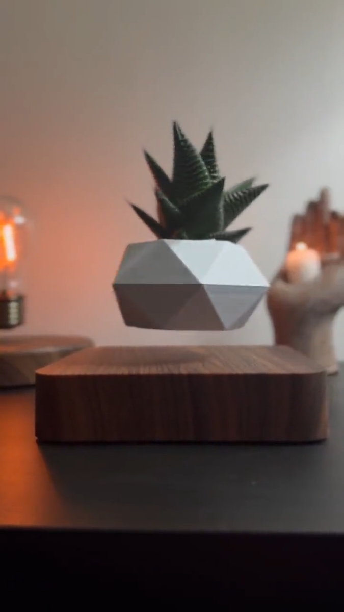 Floating/Levitating Magnetic, Flower Pot & Plant ( ALL PLUGS ) | eBay