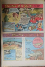 Strange As It Seems: Crocodiles and Alligators, British Honor by Hix 3/14/1937