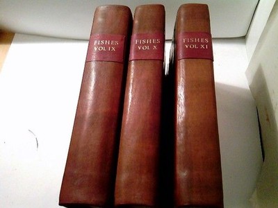 A Genuine and Universal System of Natural History comprising the three Kingdoms 