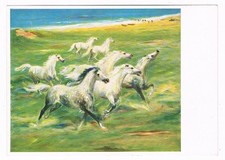 Artist card by Heinz D�llberg, a trial gallop.