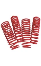 Skunk2 Lowering Springs 519-12-2232 Fits Subaru WRX sedan 2004 And Up