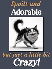 Funny Cat fridge magnet gift black white tabby grey ginger tortoiseshell cat