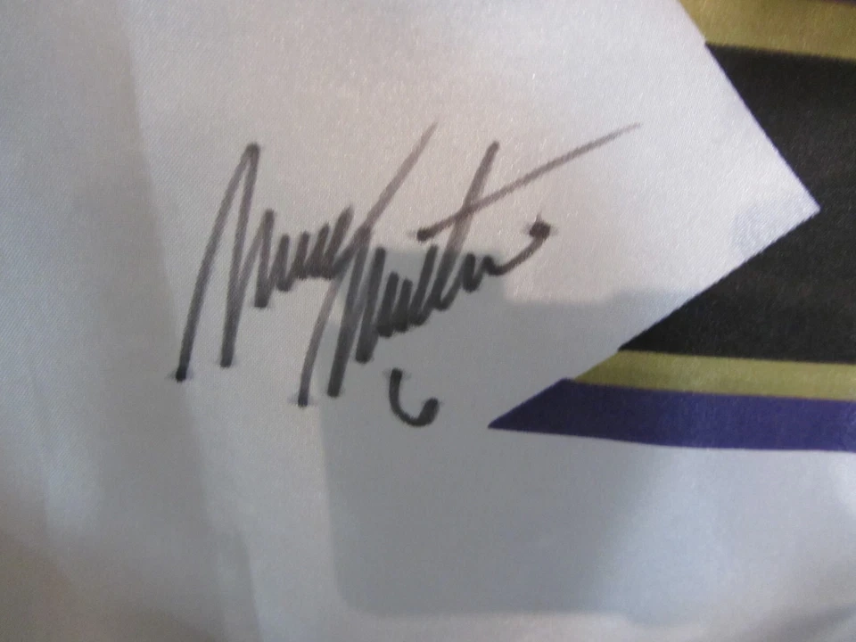 autograph signed Brickyard 400 Race Banner Irvan Burton Martin Luke Speed - Image 3 of 4