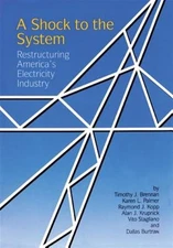 Shock to the System : Restructuring America's Electricity Industry, Hardcover...