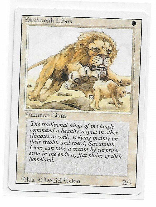 マジック：ザ・ギャザリング MTG Savannah Savannah | Magic 30th Anniversary Edition | Card Kingdom