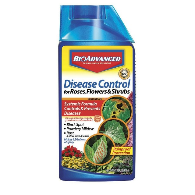 Bayer Advanced 701250 Disease Control for Rose, Flower and Shrubs Concentrate... eBay