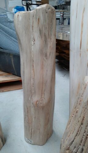 Versteinertes Holz, Säule, Baumstamm poliert #MX 1 - Bild 1 von 5
