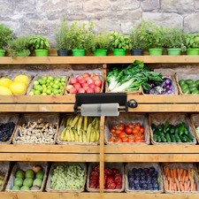 Grocery Bag Holder: Wall-Mounted Roll Bag Hanger Shopping Sack Dispenser For