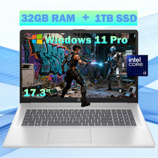HP 17.3" Laptop Intel 8-Core Processr 32GB RAM  1TB SSD Silver Win11 Pro