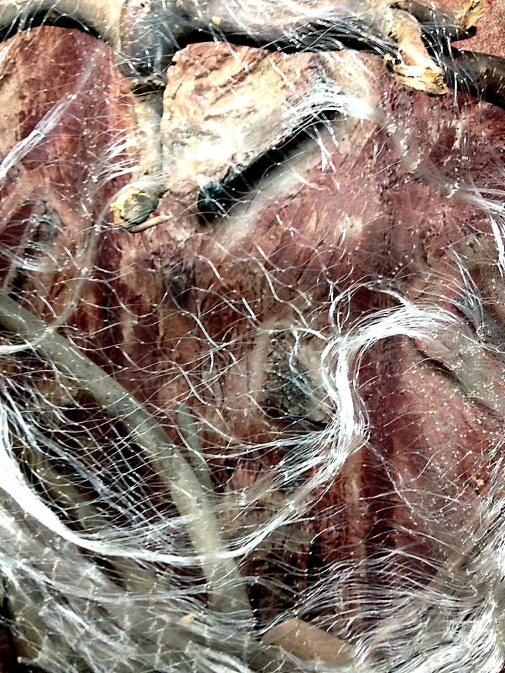 Rete da imbrocco,Rete da pesca,Rete dei mirror,Finlandia rete,Reti da imbrocco - Immagine 4 di 4