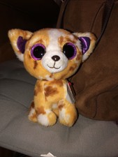 pablo the chihuahua beanie boo