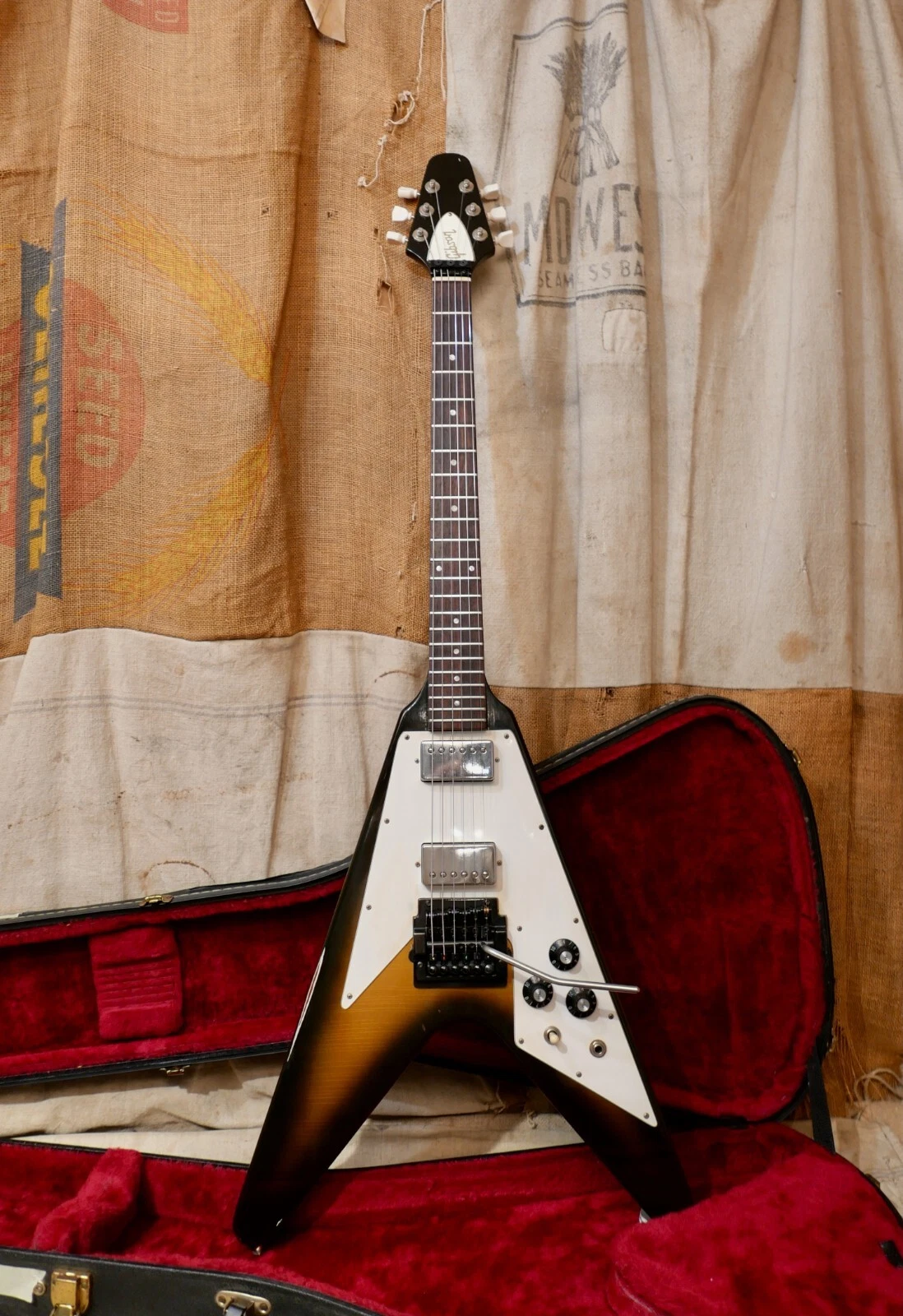 Picture 2 of 20