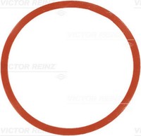 Victor Reinz Dichtung AnsaugkrüMmergehäUse 71-77546-00 FüR E46 E39 E61 X3 Rover