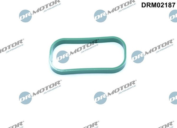 Dr.Motor Automotive Dichtung, AnsaugkrüMmer U.A. FüR Ford-image