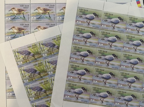 Vietnam 2010 Migratory Birds Wildlife Bird Life Mint Full Sheet Nature Blue