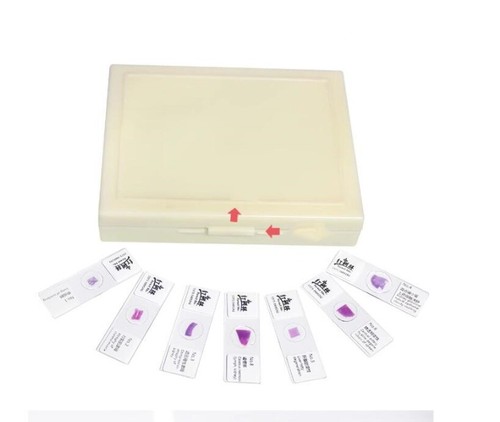 100PCS Mammal Pathological Section Typical Prepared Specimen Slides - Picture 7 of 12