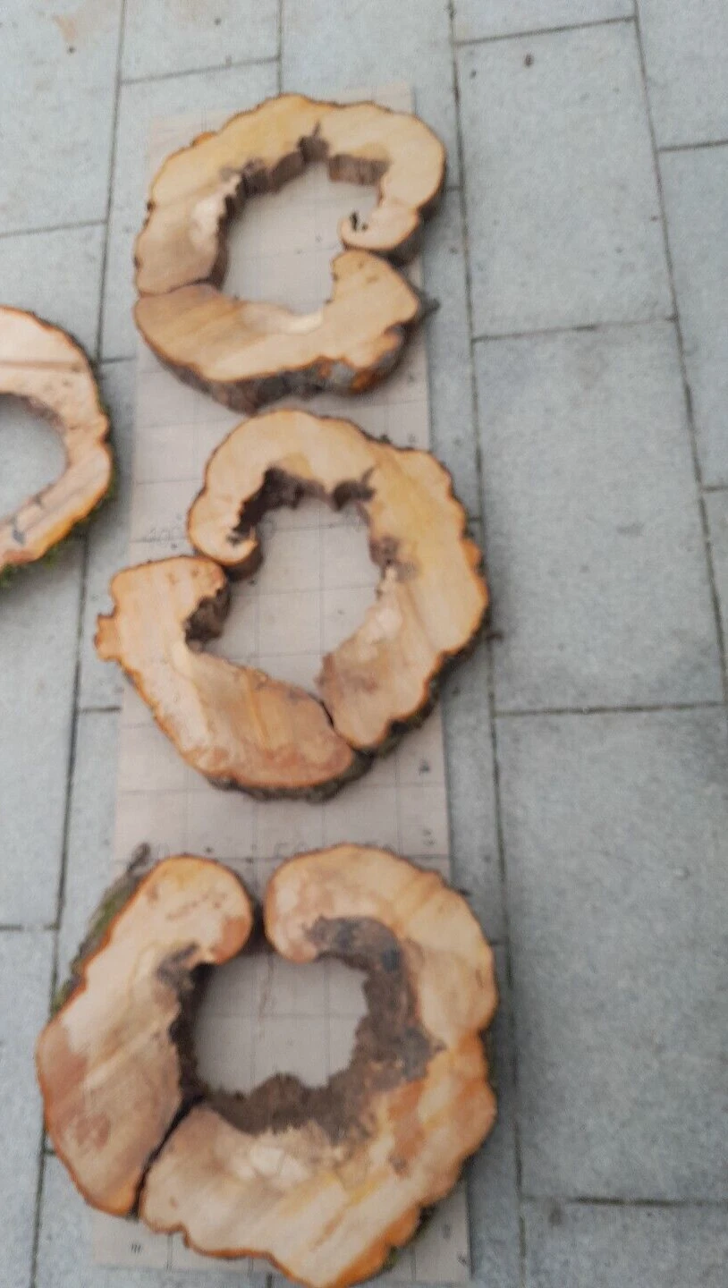 Bild 1 von 8