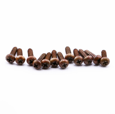 AGP   - Kluson   Aged Relic Phillips Tuning Head Screws (12) #10302380