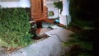 Bild 9 von 9