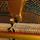Picture 6 of 12