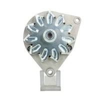 Original Neu Mahle Lichtmaschine Passend FüR Lombardini MG195 33 A
