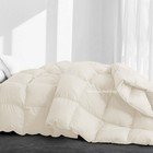 Foto 115 di 275