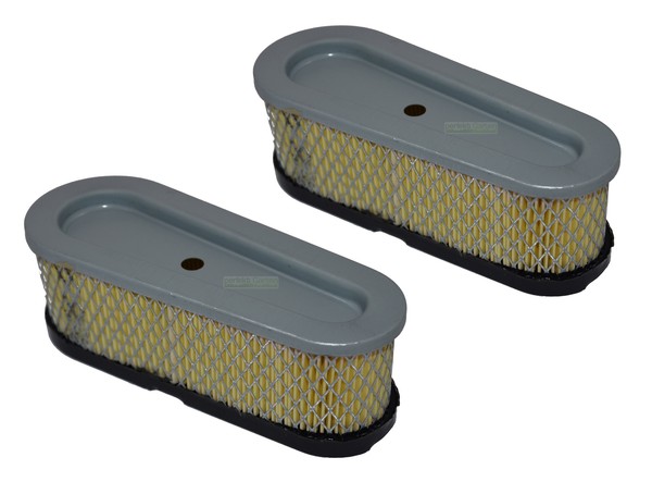 2X Luftfilter FüR Briggs & Stratton / B&S Motor 493910 691667 10 - 15 Ps-image