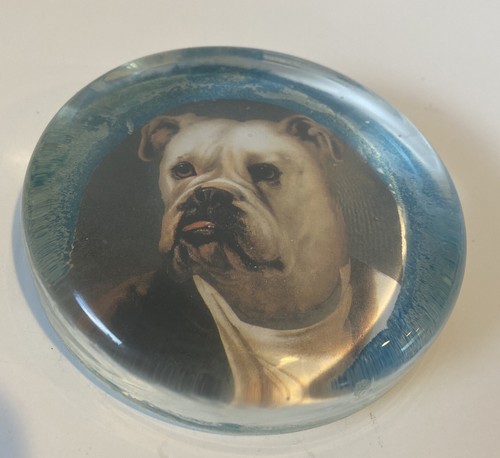 ANTIQUE ENGLISH BULLDOG AMERICAN BULLDOG GLASS PAPERWEIGHT - Picture 2 of 11
