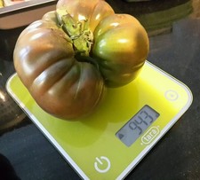 ☺30 graines de tomates noire de crimée 