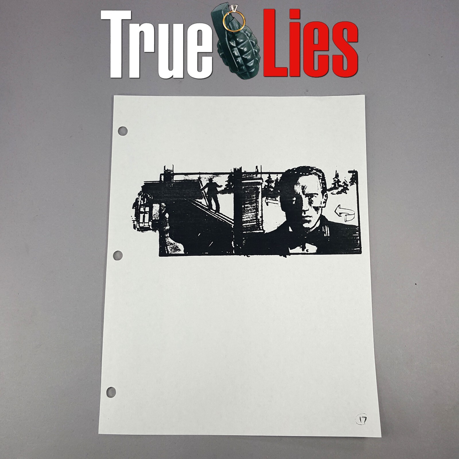True Lies - Production Used Storyboard,  Harry Approaches Mansion, COA