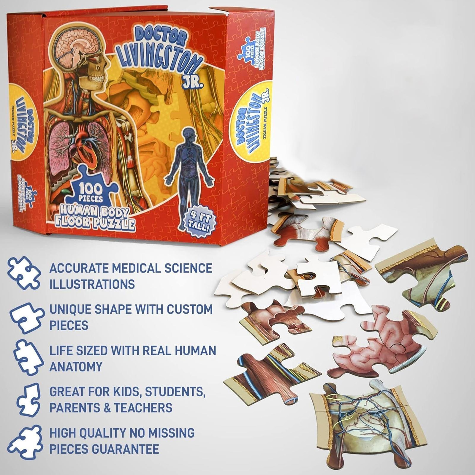 Human Anatomy Kids Floor Puzzle - Dr Livingston Jr's 100-Piece Full Body Jigsaw — image 4