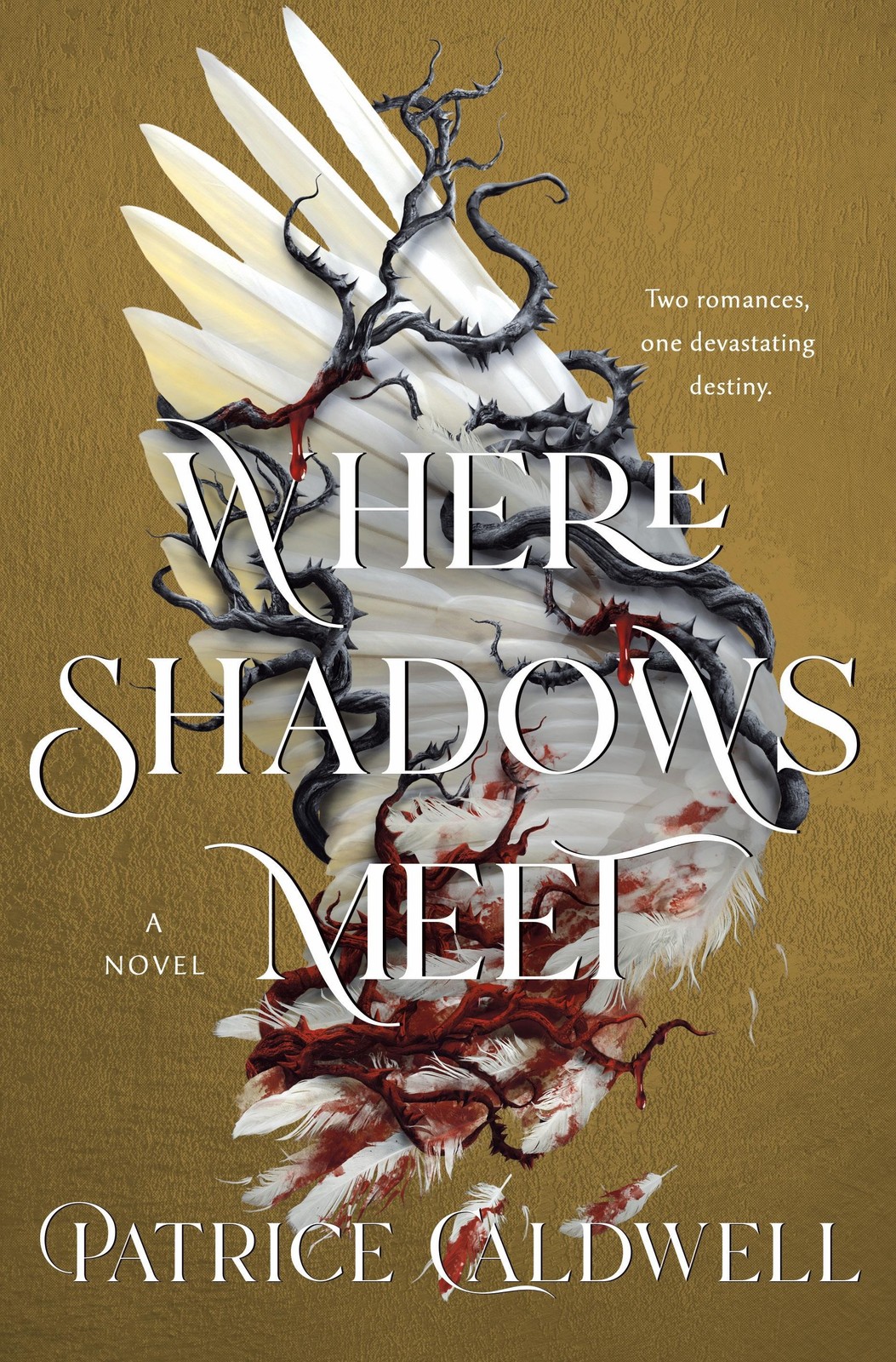 Patrice Caldwell ~ Where Shadows Meet 9781250815347