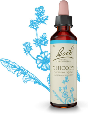 Original Bachblüten Nr.8 Chicory - 20 ml
