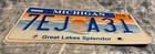 Michigan Great Lakes Splendor License Plate - February 2003 Tab -7EJ A31 — photo 3