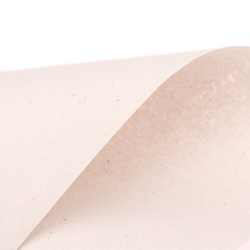 20Pcs 18x26CM Soilless Cultivation Nursery Paper for Vegetable Growing Paper - Bild 6 von 12