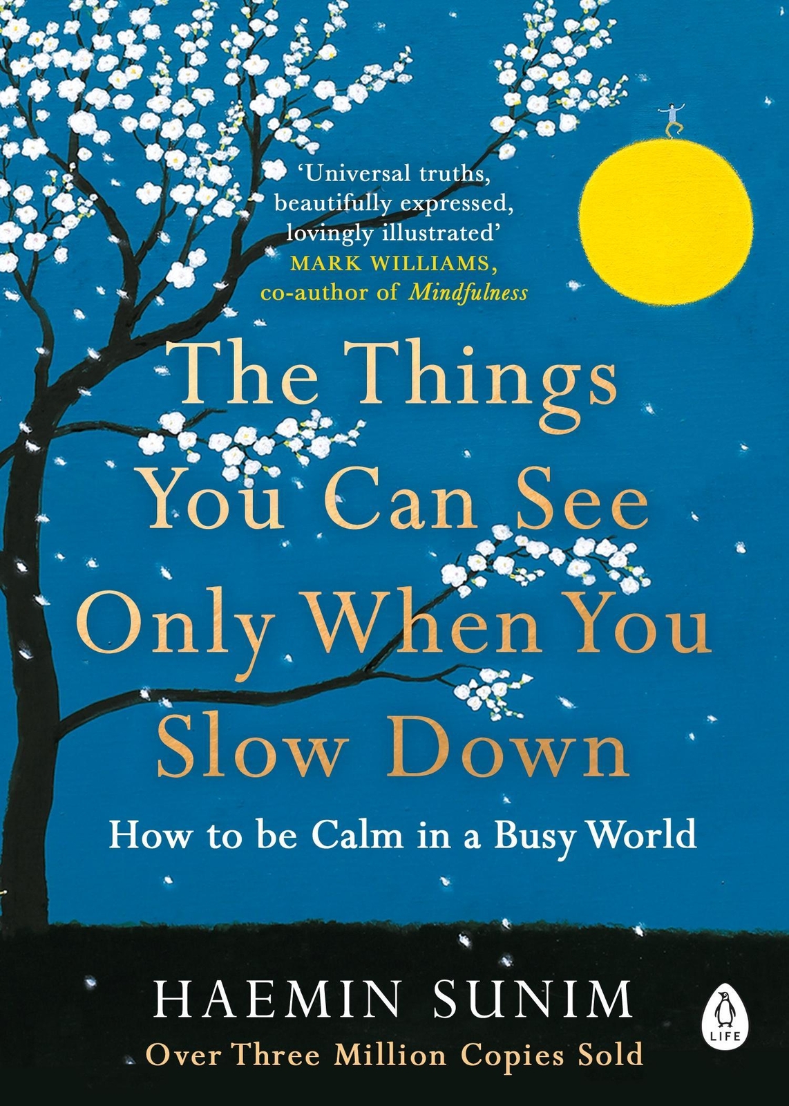 Thumbnail - The Things You Can See Only When You Slow Down Haemin Sunim