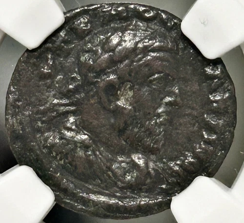 Macrinus Syria Antioch AE21 AD 217-218 SC in wreath NGC VF