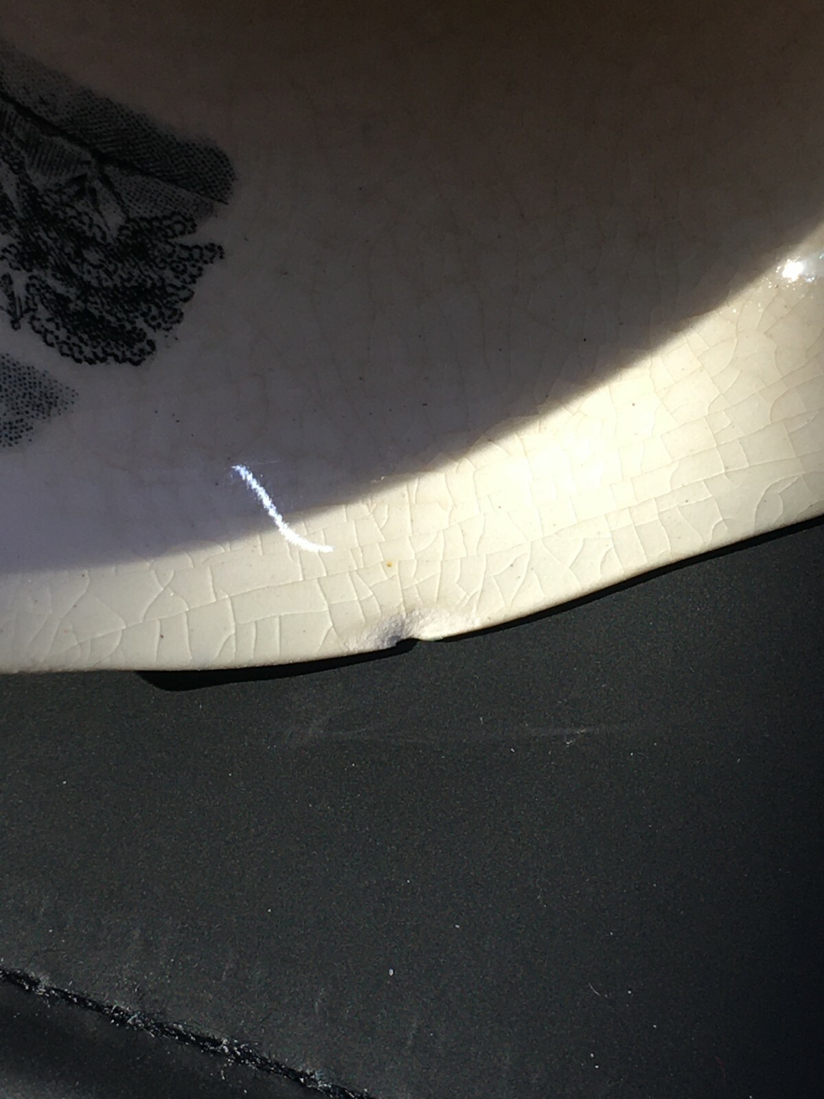 Foto 12 di 12