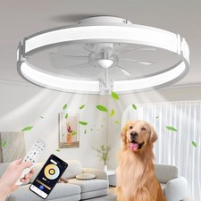 BAYSQUIRREL Ceiling Fans with Lights and Remote, Dimmable Bladeless Ceiling L...