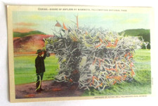 postcard of House of Antlers at Mammoth, Yellowstone National Park Wyoming